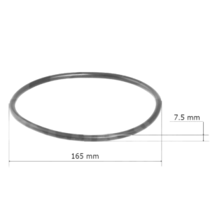 Oring coperchio per pompa Challenger