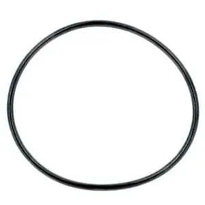 Oring coperchio per pompa Challenger