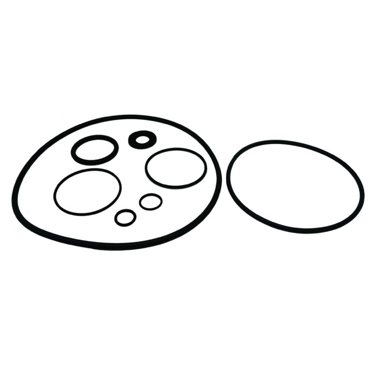 4405010403 Kit guarnizioni per pompa Sena