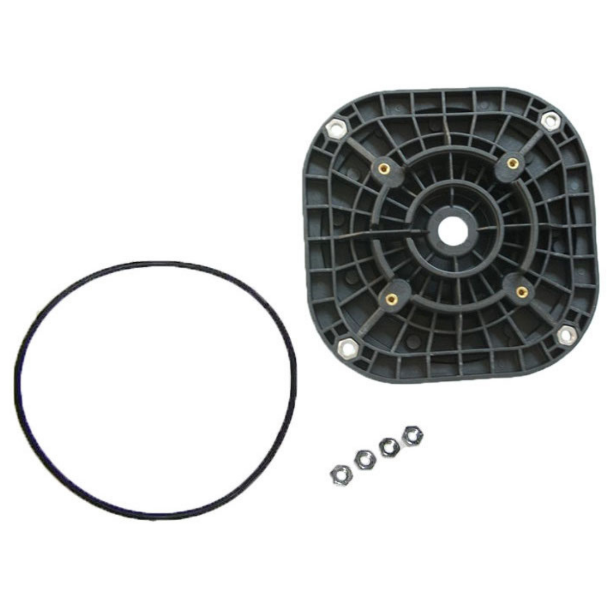 4405010418 Flangia motore per pompa Sena