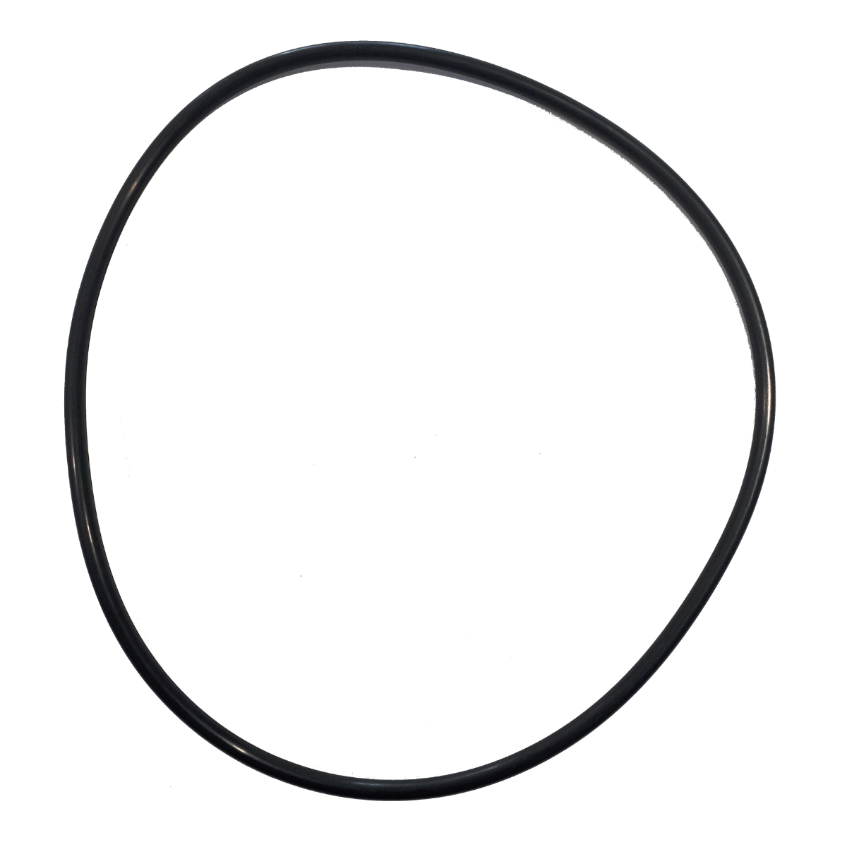 R39006000 Oring flangia motore per pompa Sta-Rite