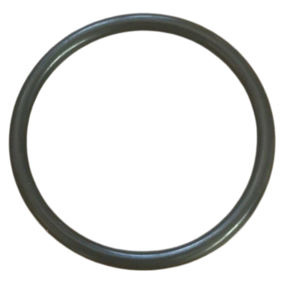 Guarnizione diffusore ricambio per pompa piscina Ondina Kripsol