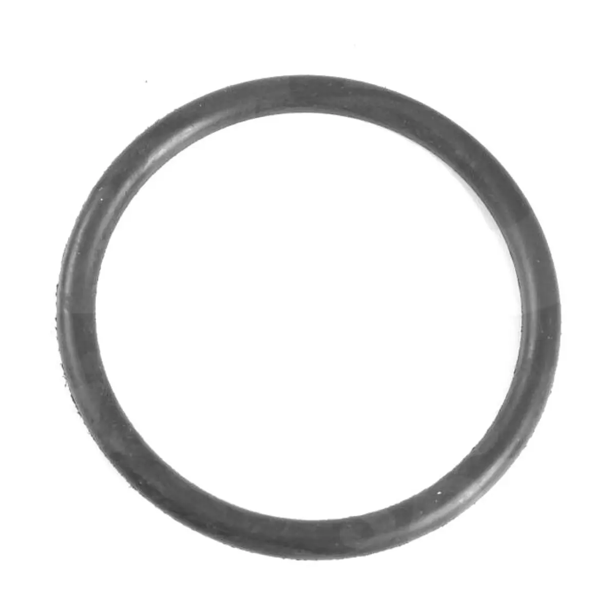 O'ring raccordo unione Filtro a sabbia Vesuvio Laterale Astral O'ring raccordo unione Filtro a sabbia Vesuvio Laterale Astral