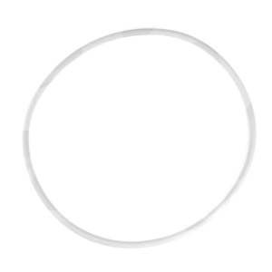 Oring coperchio per filtro a sabbia Triton Pentair