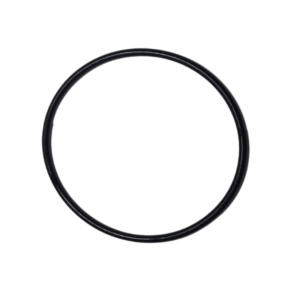 Oring corpo unione per pompa Maxim