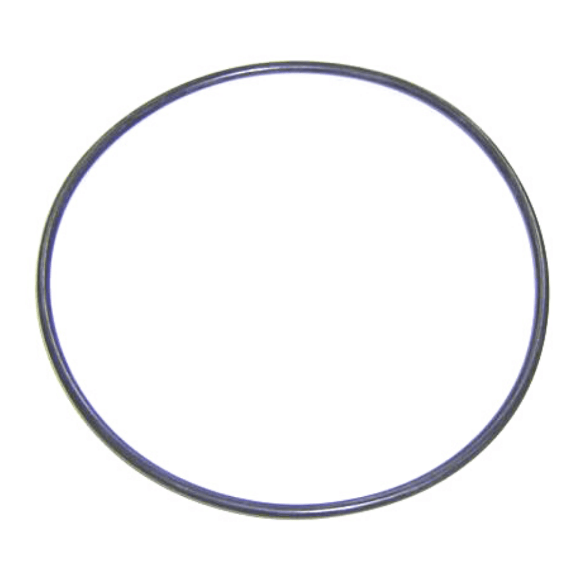 4405010377 Guarnizione flangia motore per pompa Maxim