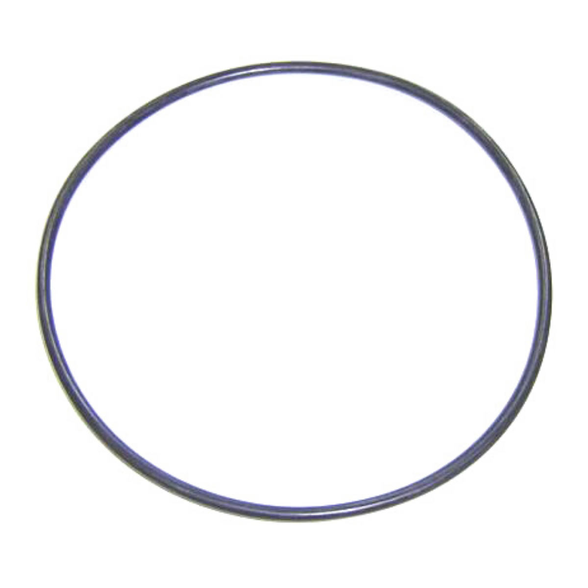 4405010377 Guarnizione flangia motore per pompa Maxim