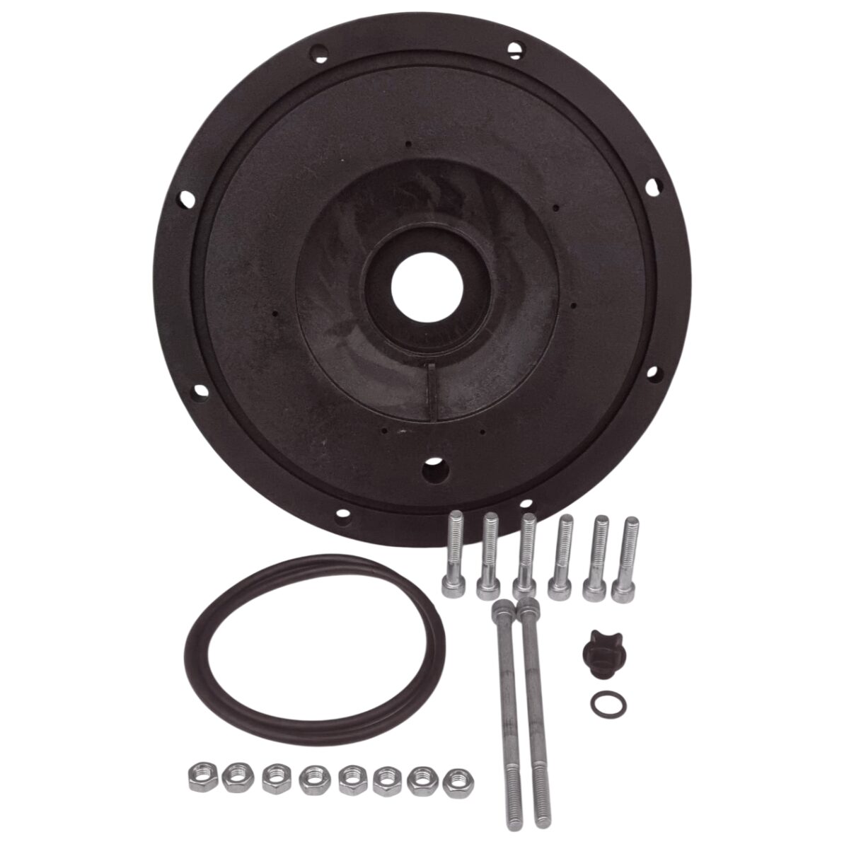 Kit composto da flangia motore, guarnizione e viti ricambio per pompa piscina Maxim Astralpool