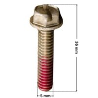 Viti fissaggio girante ricambio per pompa piscina Challenger Pentair con quote dimensionali: diametro esterno della filettatura 5 mm e lunghezza esterna totale 36 mm.