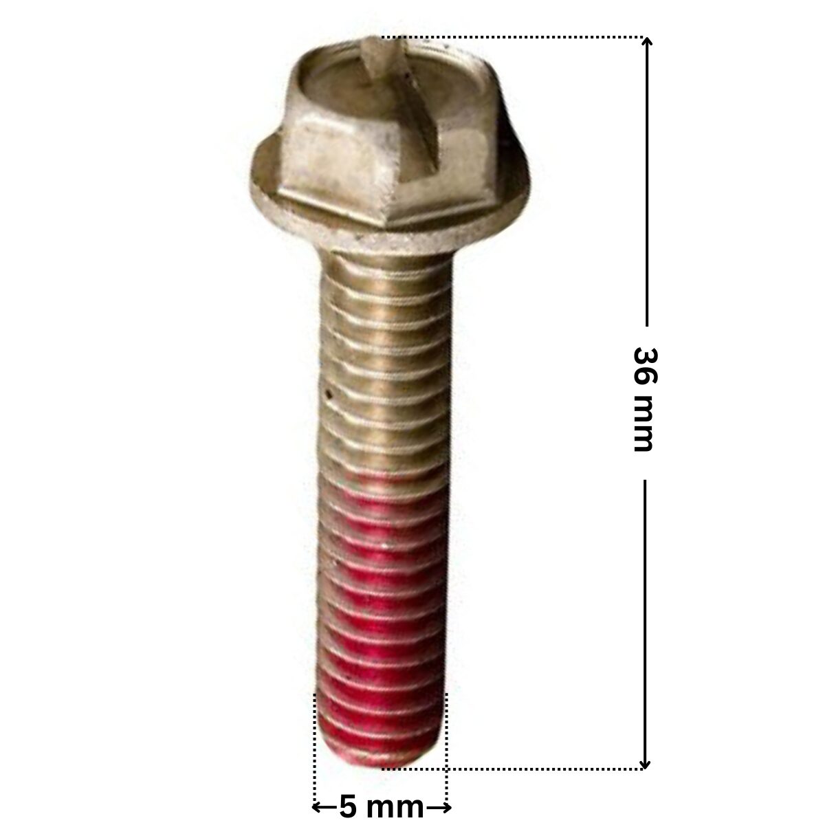 Viti fissaggio girante ricambio per pompa piscina Challenger Pentair con quote dimensionali: diametro esterno della filettatura 5 mm e lunghezza esterna totale 36 mm.
