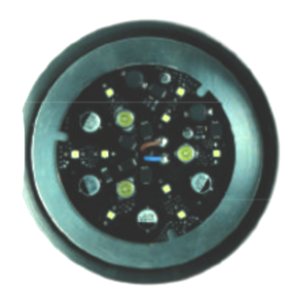 Lampada bianca 12 Led 1700 lumen per faro subaqueo a Led Pools