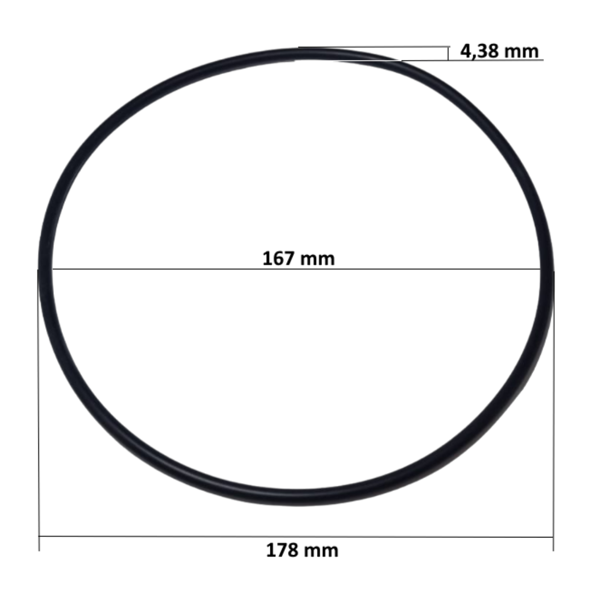 0000198624 dimensioni