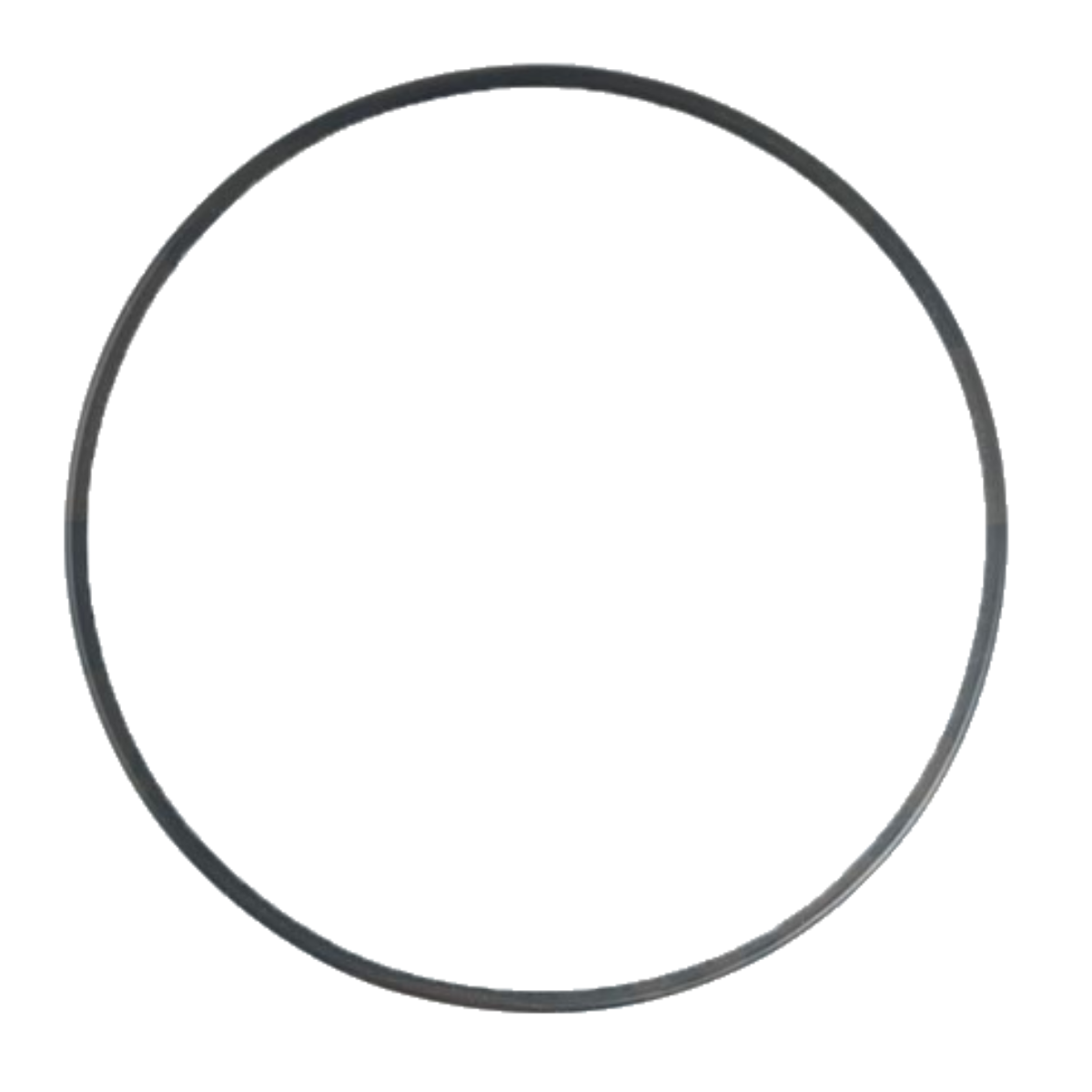 0000198624 Guarnizione corpo unione per pompe Espa Iris