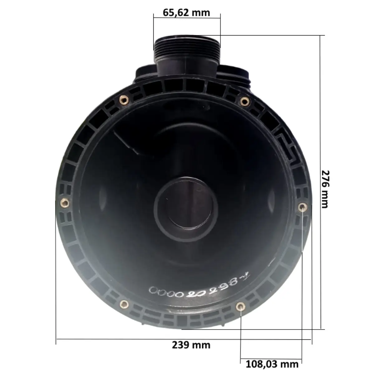 0000202981 dimensioni