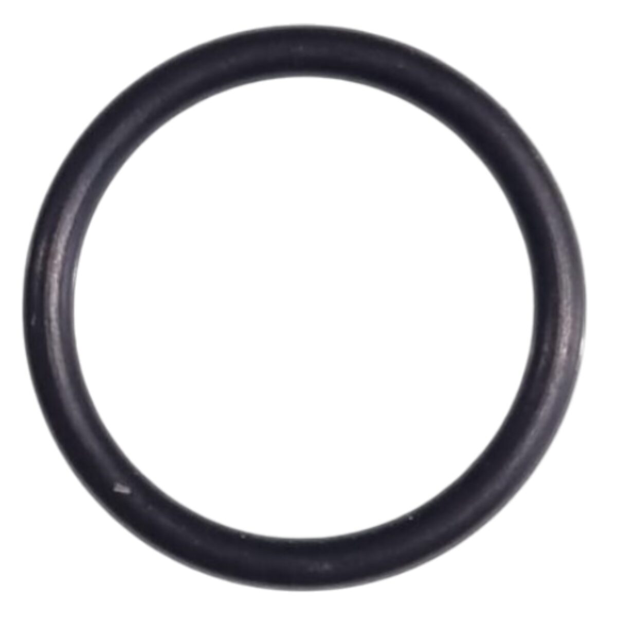 Guarnizione manicotto ricambio per pompa piscina Nocchi Swimmey Pentair