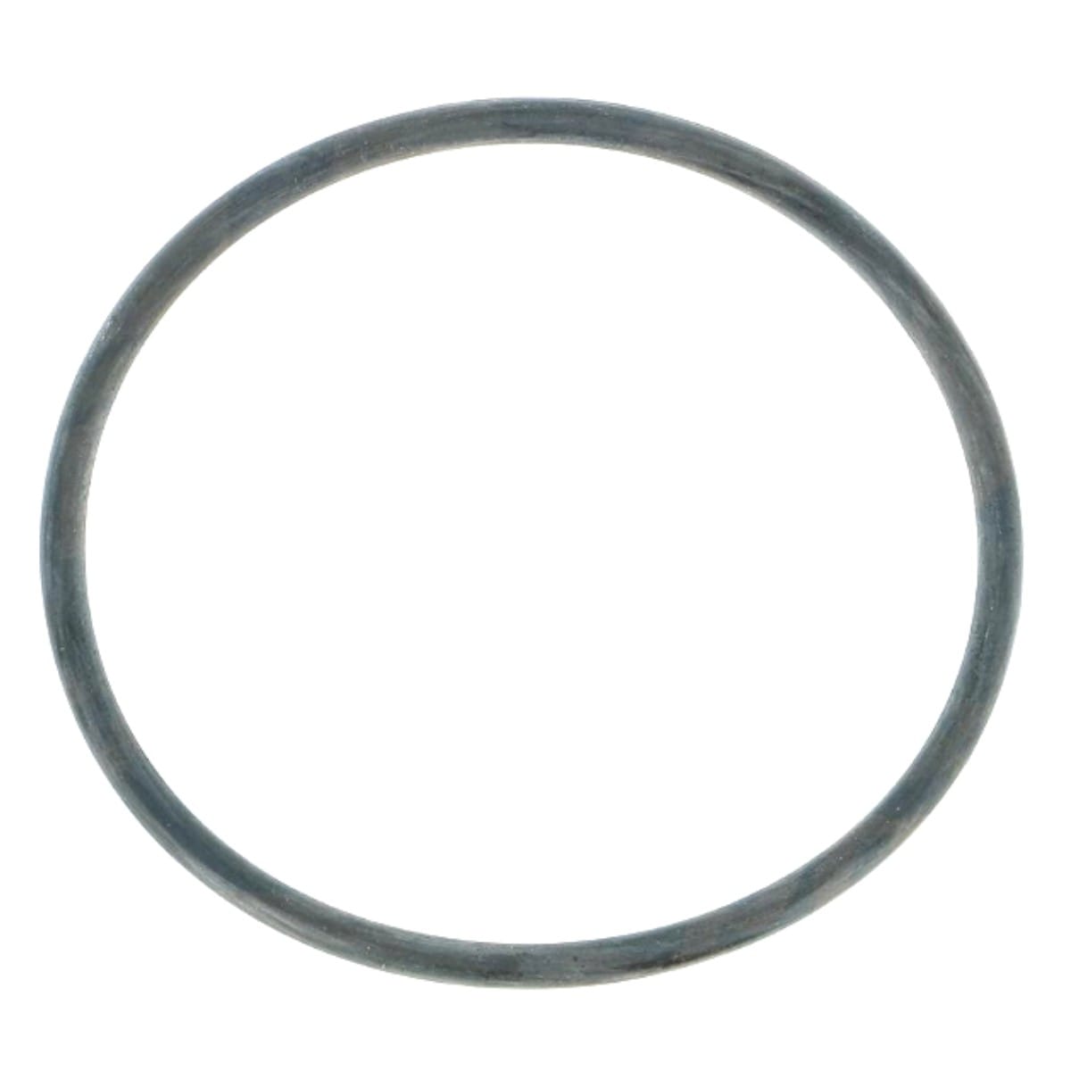 16_O'ring coperchio prefiltro Nocchi Swimmey 16_O'ring coperchio prefiltro Nocchi Swimmey