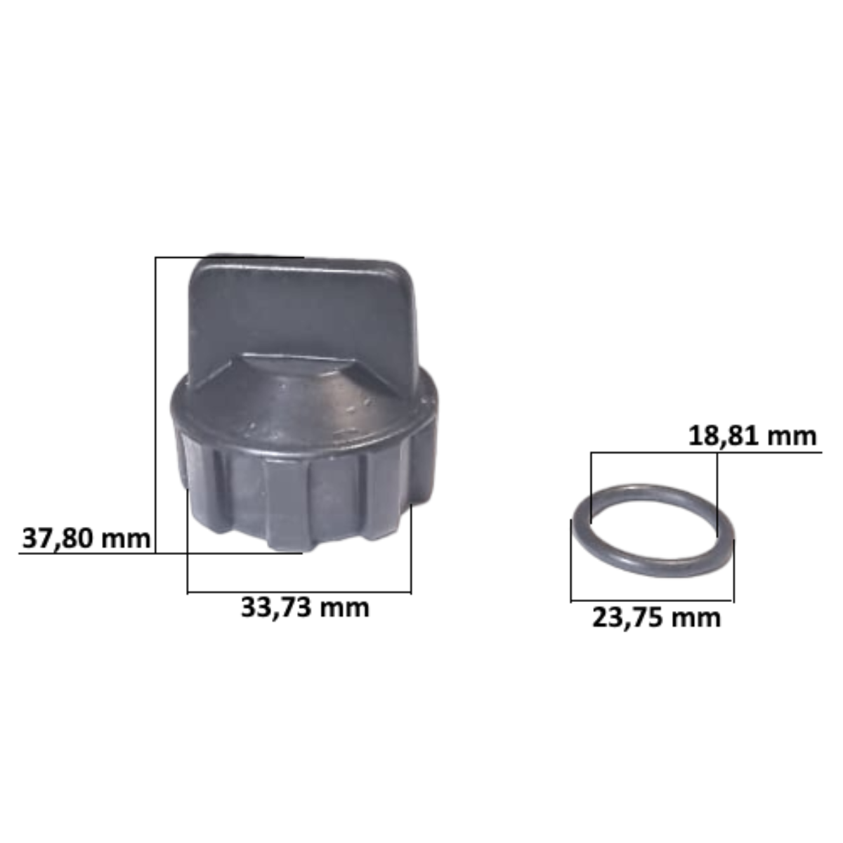 R504605 dimensioni 1