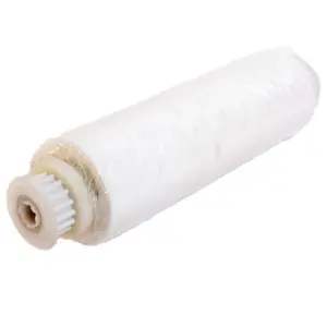 Gruppo cilindro Diagnostic assemblato con spazzola kanebo per robot Dolphin