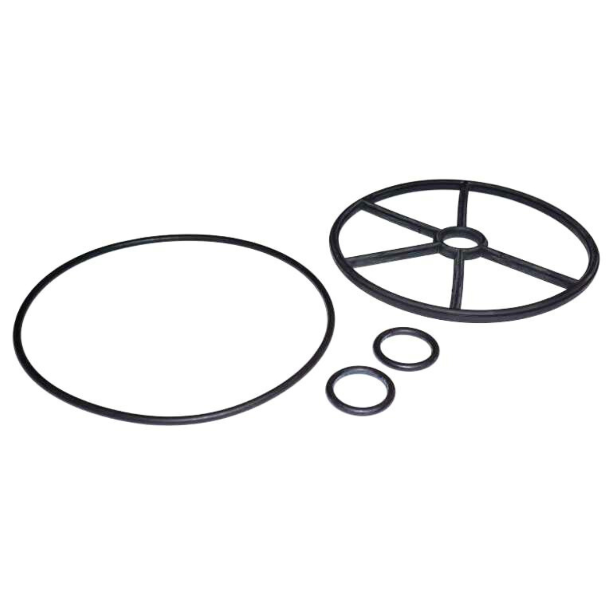 Guarnizione a raggio e guarnizione fissaggio ricambio per valvola selettrice Side da 1 pollice e mezzo Astralpool