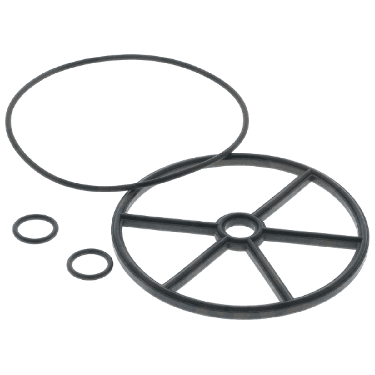 Guarnizione a raggio e guarnizione fissaggio ricambio per valvola selettrice Side da 2 pollici Astralpool