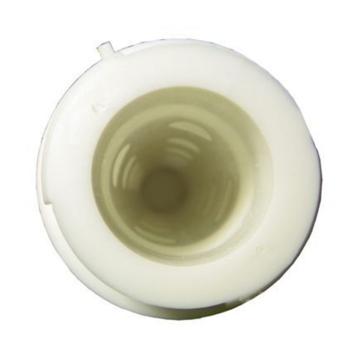 Attacco a baionetta del candelotto ricambio per filtro a sabbia Triton Clear Pro e Neo Pentair