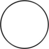 Guarnizione per coperchio ricambio per filtro a sabbia Millennium Astralpool