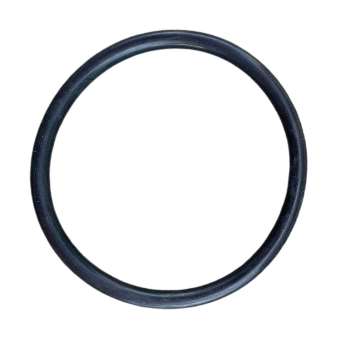 Guarnizione lampada ricambio per faro subacqueo Cofies