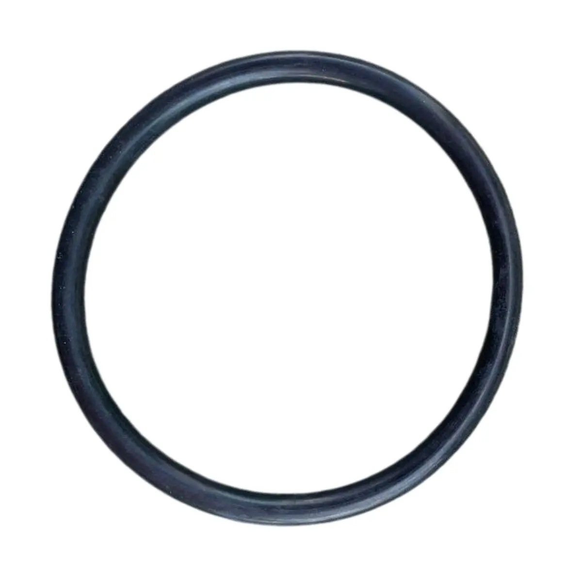 Guarnizione lampada ricambio per faro subacqueo Cofies