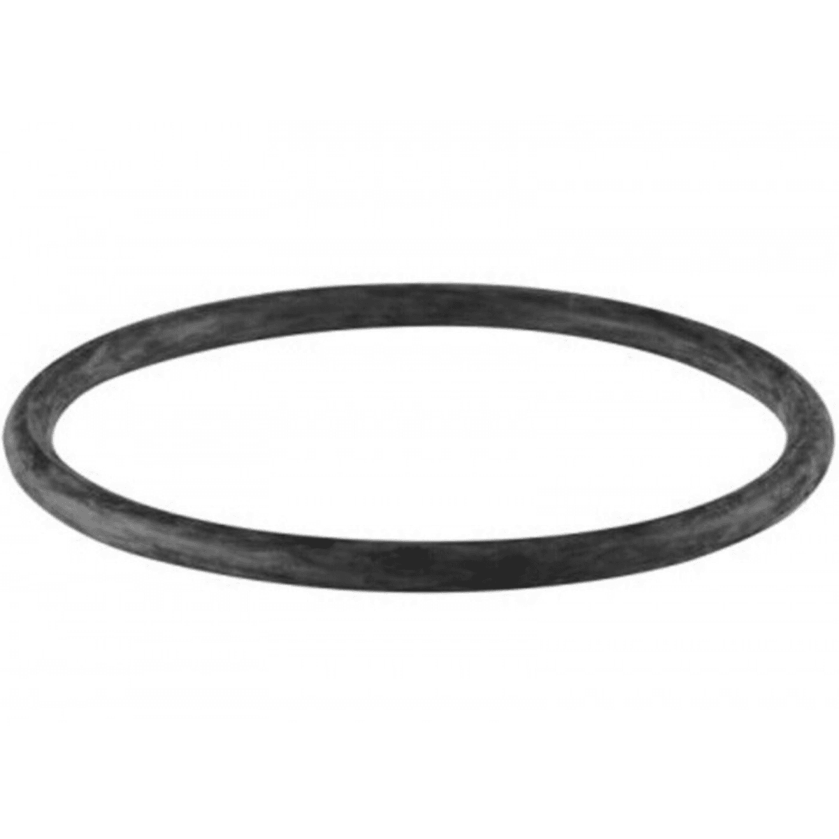 Guarnizione lampada ricambio per faro subacqueo Standard e Lumiplus PAR56 Astralpool