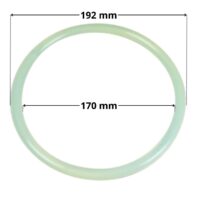 Guarnizione per coperchio ricambio per filtro a sabbia aster Astralpool con quote dimensionali: diametro interno 170 mm, diametro esterno 192 mm