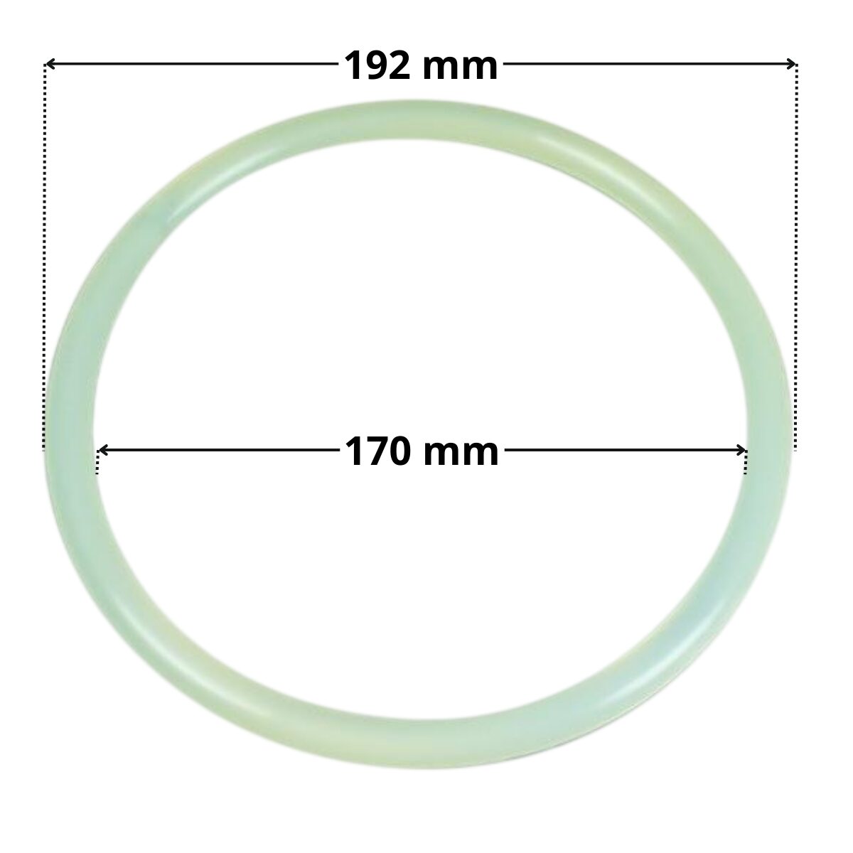 Guarnizione per coperchio ricambio per filtro a sabbia aster Astralpool con quote dimensionali: diametro interno 170 mm, diametro esterno 192 mm