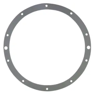Guarnizione ricambio per faro subacqueo EX 300 watt Pool's