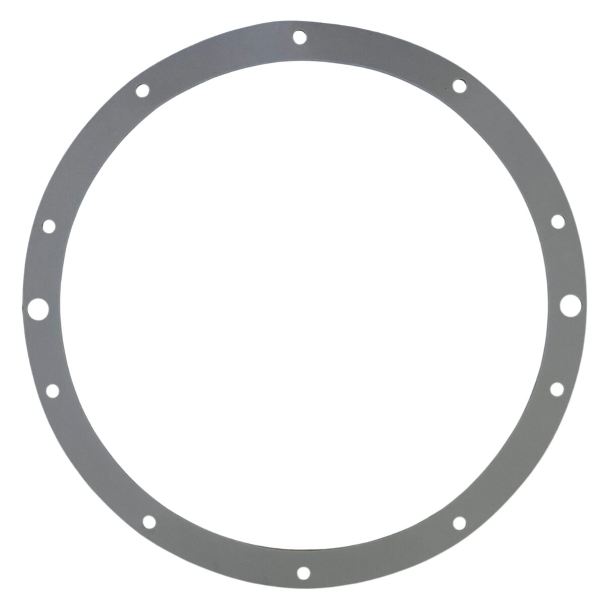 Guarnizione ricambio per faro subacqueo EX 300 watt Pool's