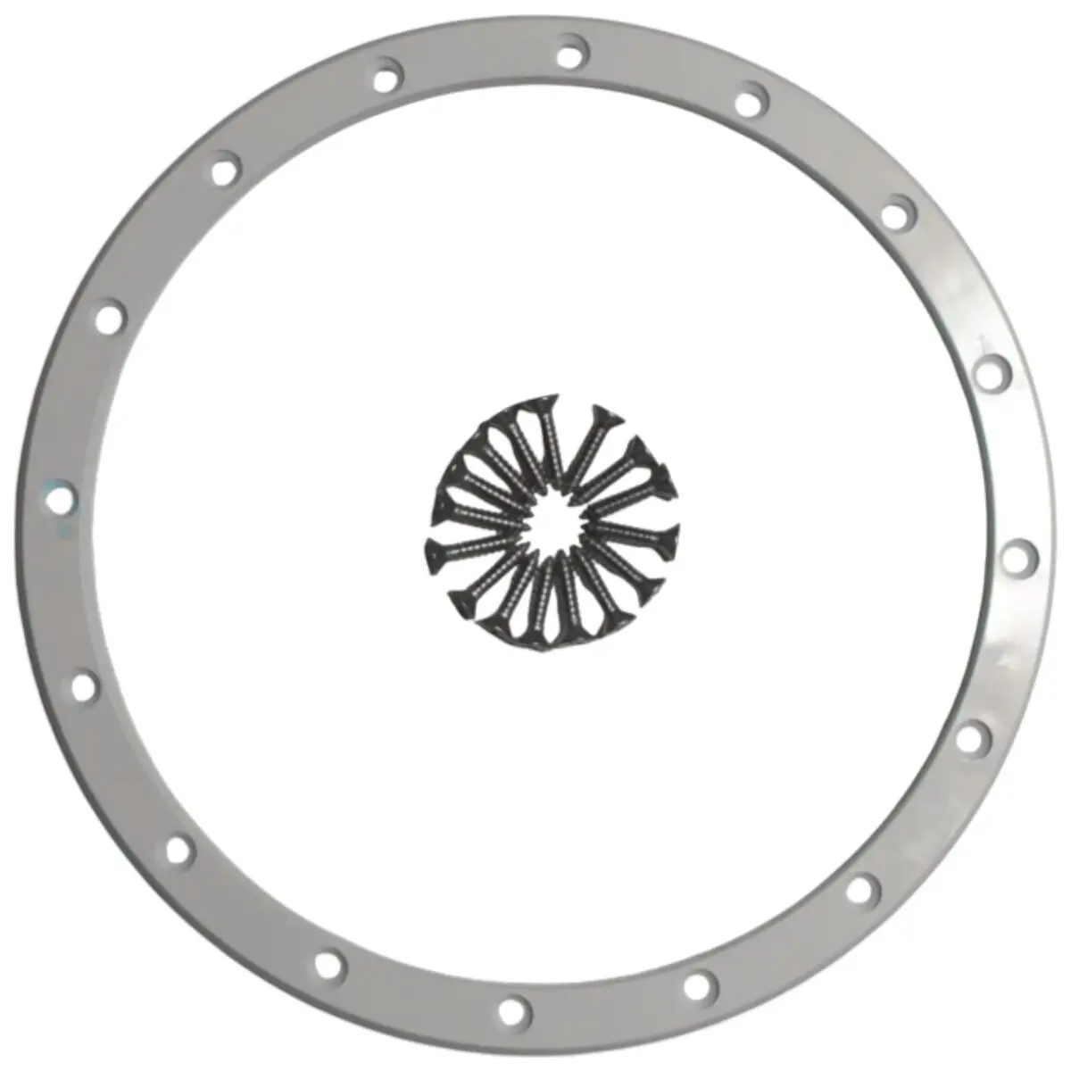 Kit composto da flangia e viti ricambio per faro subacqueo Standard Astralpool