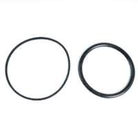 Una guarnizione lampada e una guarnizione calotta ricambio per faro subacqueo PS Astralpool