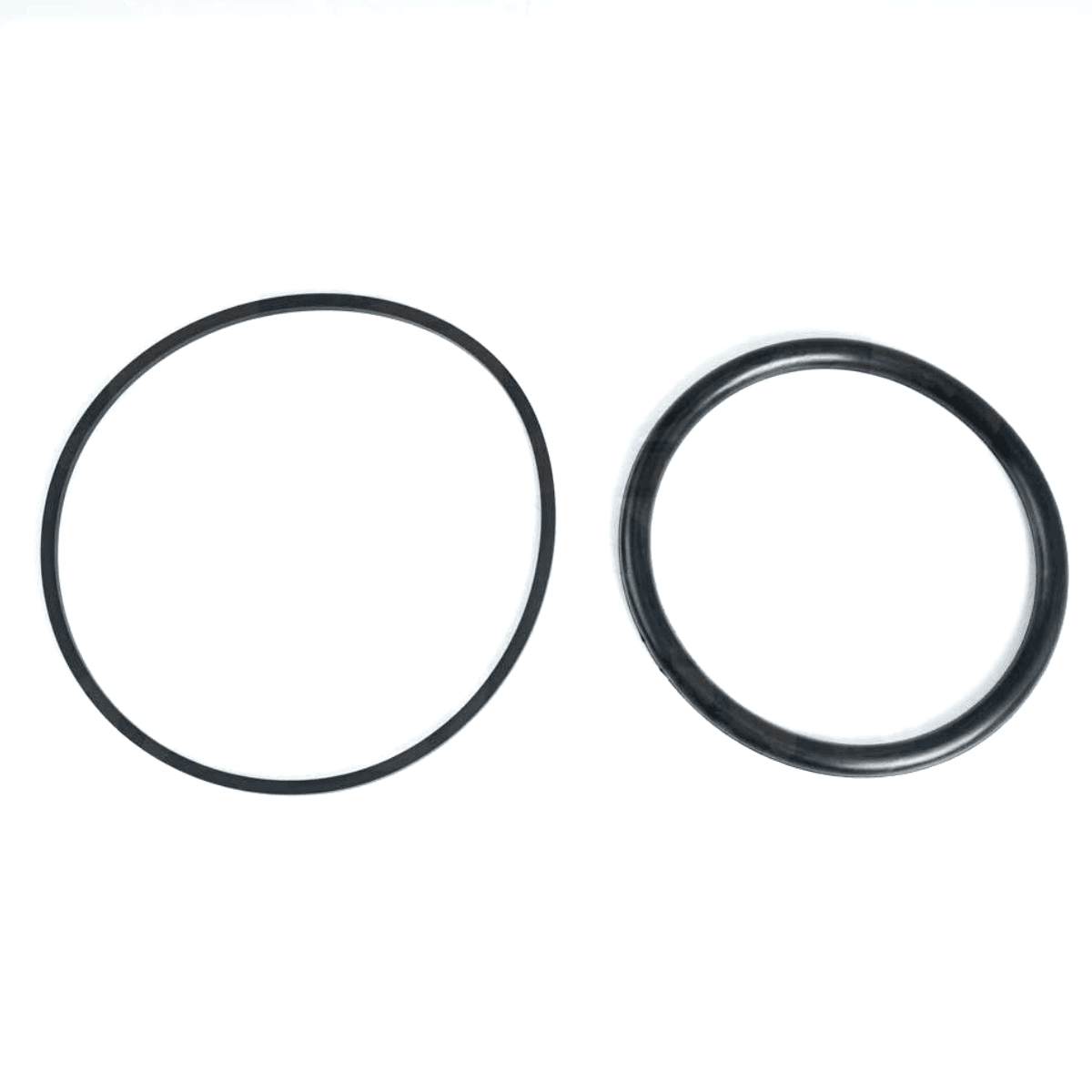 Una guarnizione lampada e una guarnizione calotta ricambio per faro subacqueo PS Astralpool