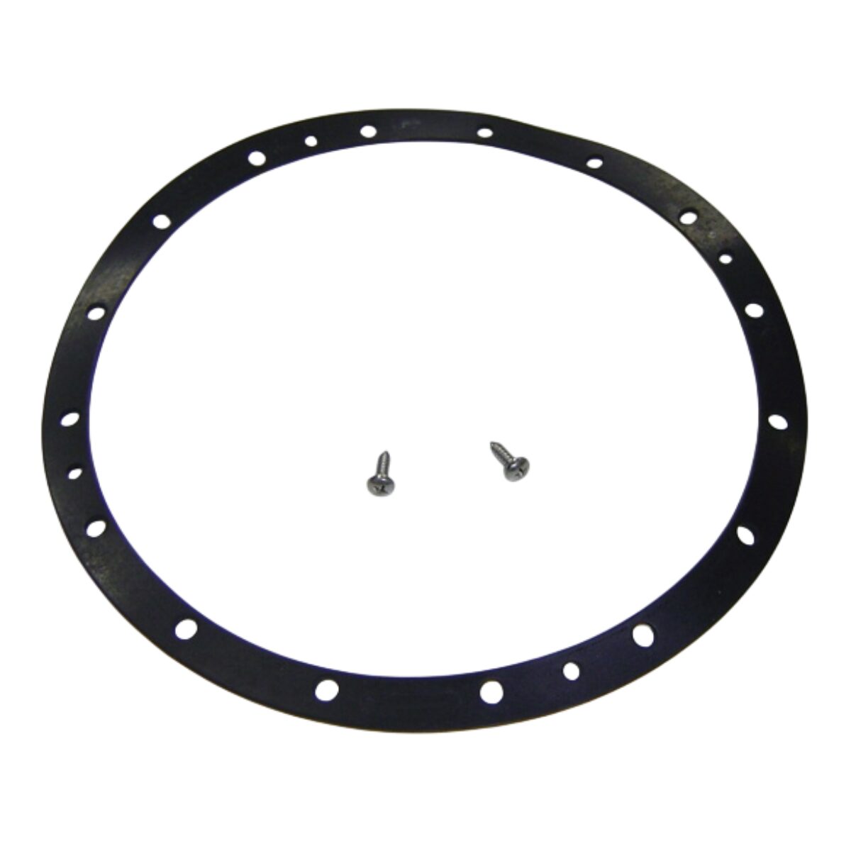 kit-guarnizione-viti-per-faro-subacqueo-standard-astralpool-4403012412