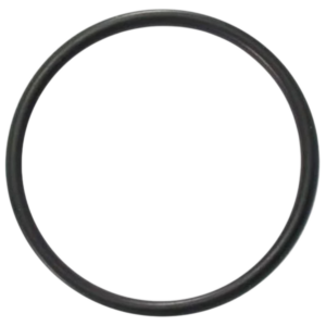 Guarnizione bocchettone ricambio per pompa piscina Maxim Astralpool