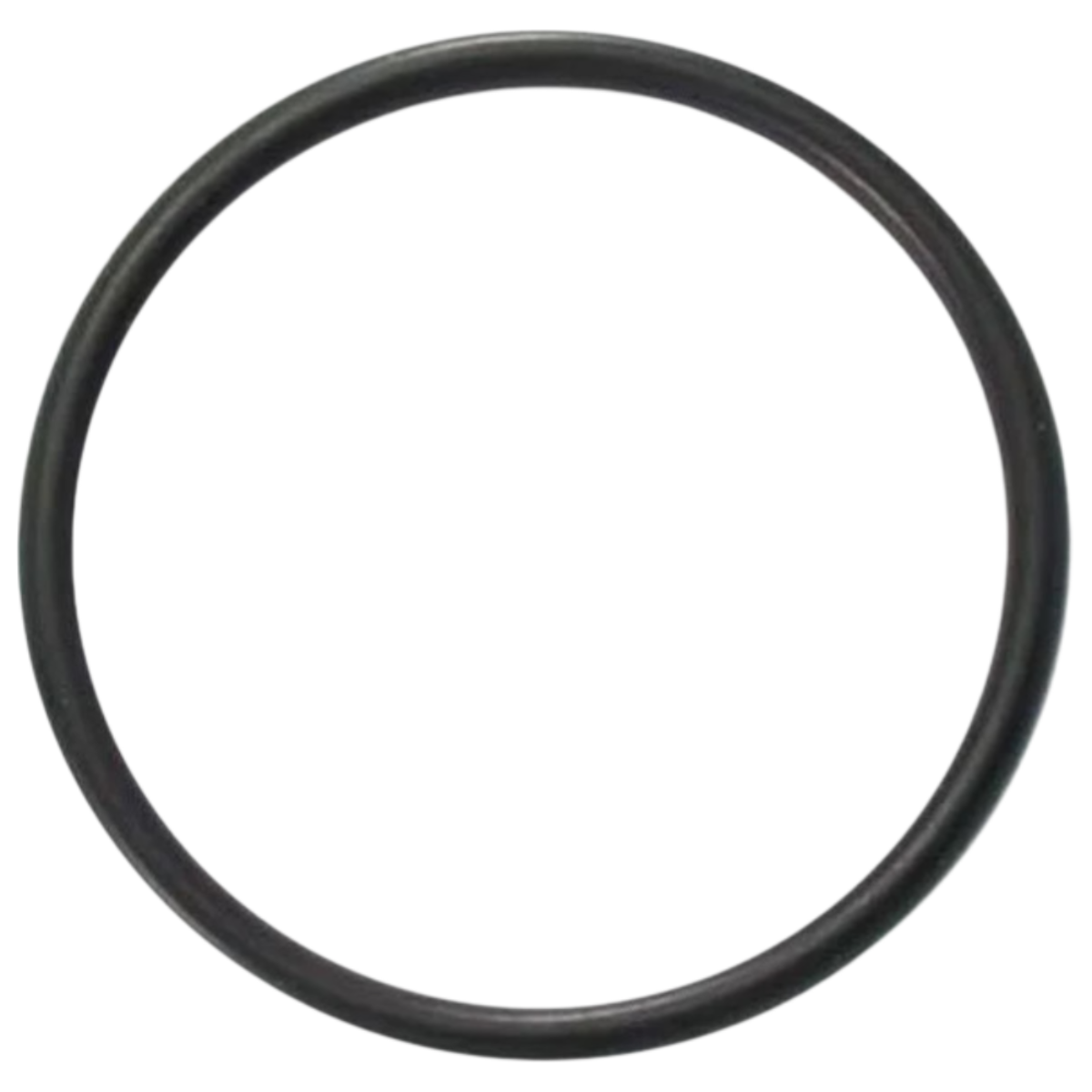 Guarnizione bocchettone ricambio per pompa piscina Maxim Astralpool