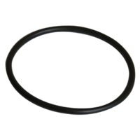 Guarnizione bocchettone ricambio per pompa piscina Nocchi Swimmey Pentair