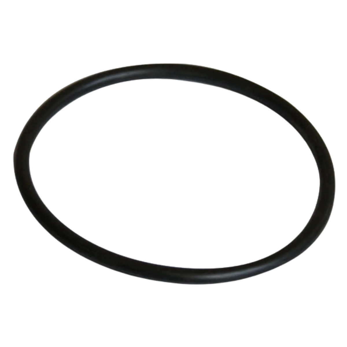 Guarnizione bocchettone ricambio per pompa piscina Nocchi Swimmey Pentair