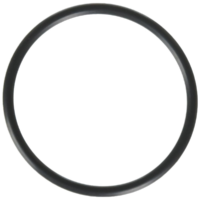 Guarnizione bocchettone ricambio per pompa piscina Powerflo Hayward