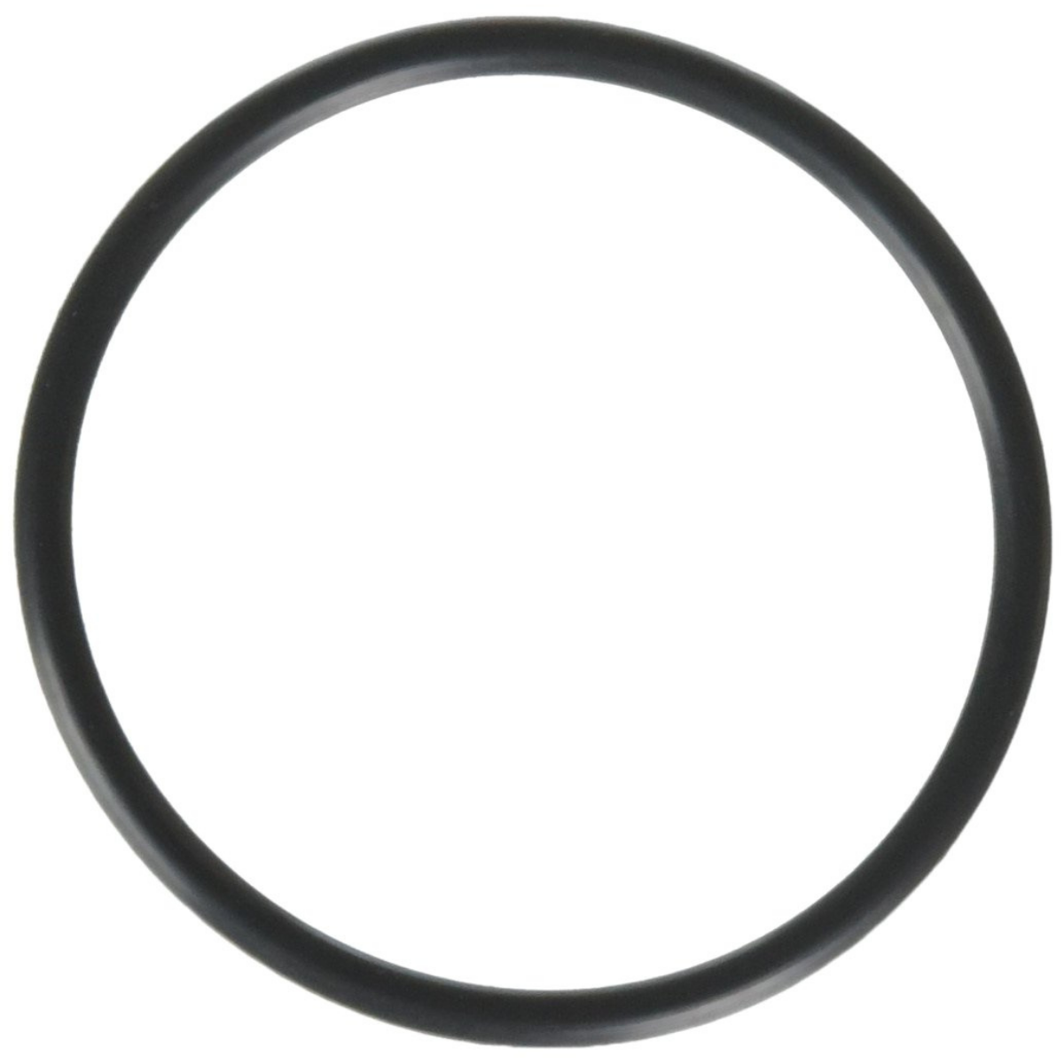 Guarnizione bocchettone ricambio per pompa piscina Powerflo Hayward