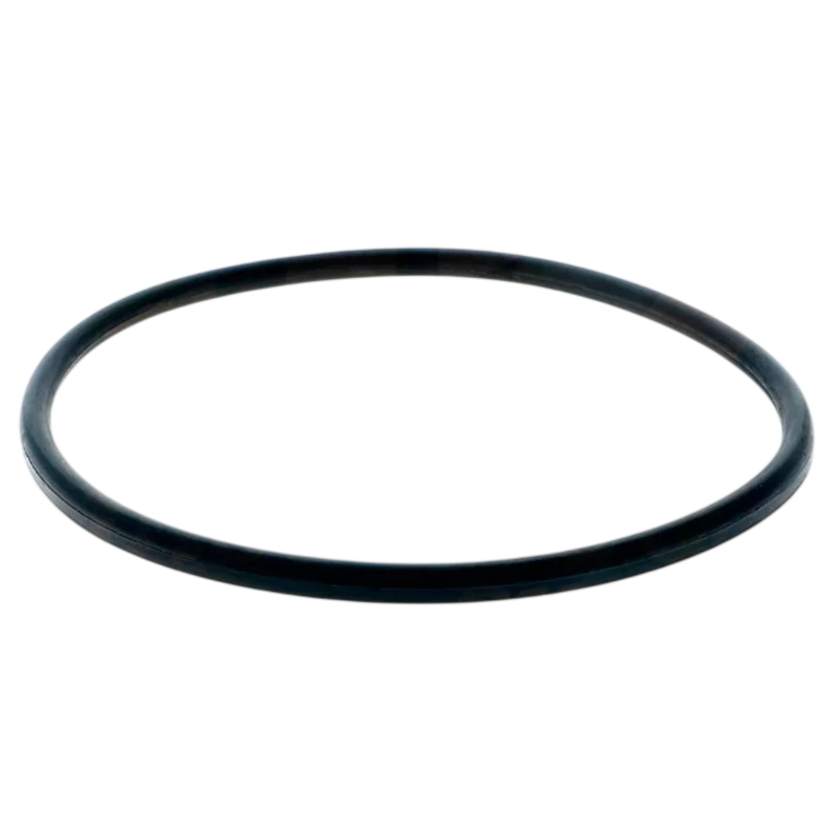 Guarnizione coperchio ricambio per pompa piscina Denver Astralpool