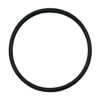 Guarnizione coperchio ricambio per pompe piscina Iris Espa