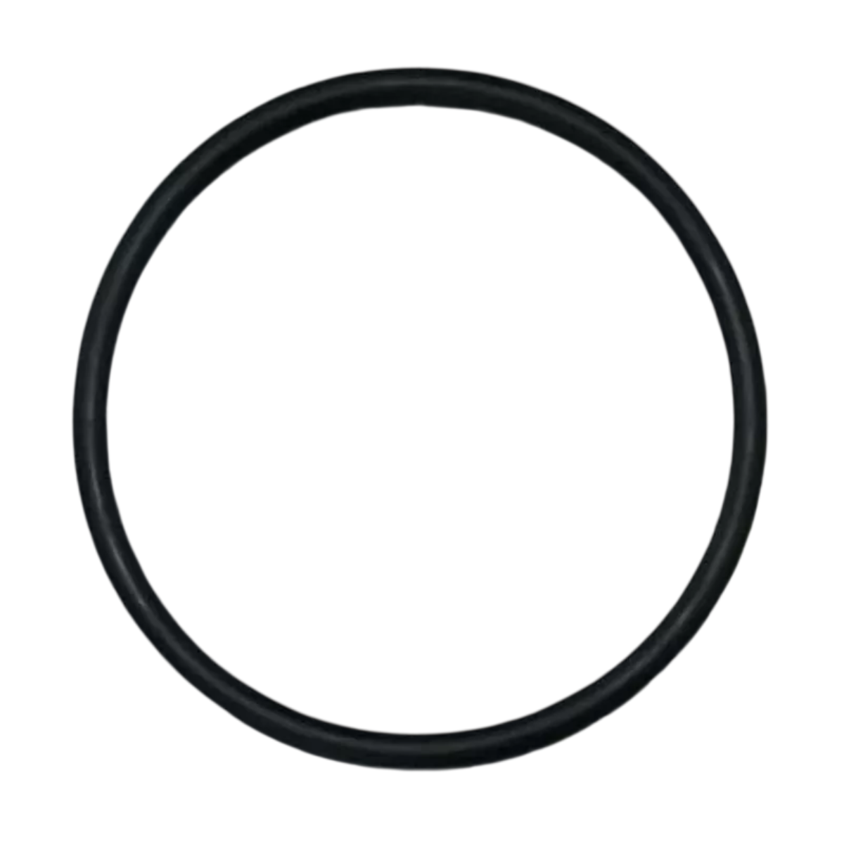 Guarnizione coperchio ricambio per pompe piscina Iris Espa