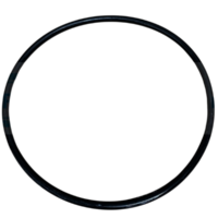 Guarnizione coperchio ricambio per pompa piscina Koral Kripsol