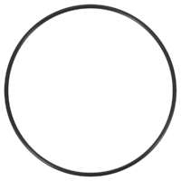 Guarnizione coperchio ricambio per pompa piscina Maxim Astralpool