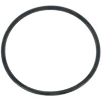 Guarnizione coperchio ricambio per pompa piscina Nocchi Swimmey Pentair