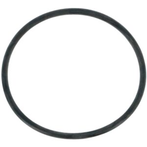 Guarnizione coperchio ricambio per pompa piscina Nocchi Swimmey Pentair